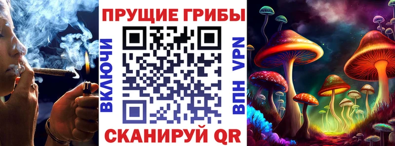 Галлюциногенные грибы Psilocybine cubensis  купить закладку  Туран 